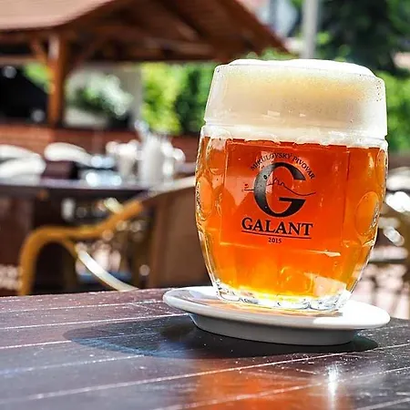 Galant 4* Mikulov